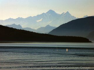 Alaskan Coast with Whale Spouts